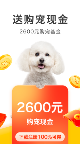 买只宠物安卓版3