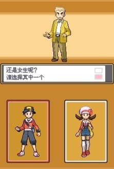 口袋妖怪心金汉化版2