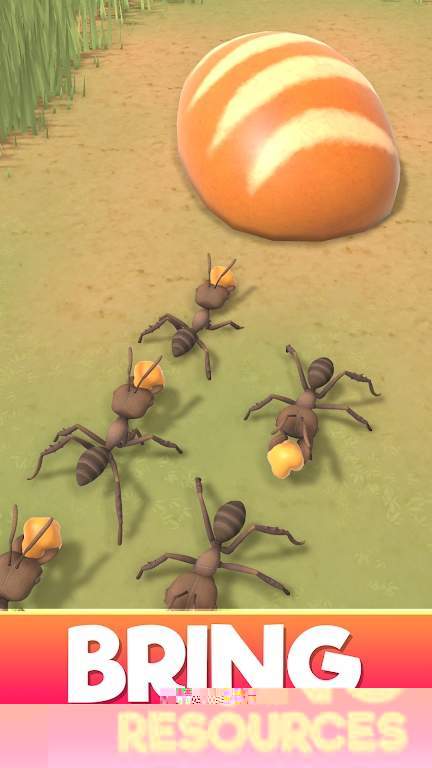 蚂蚁建造3