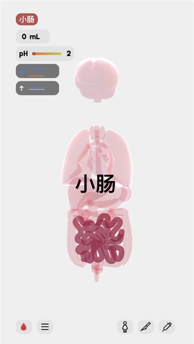 生命人体模拟器life汉化版