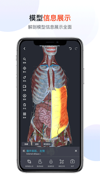 口袋人体解剖免会员版