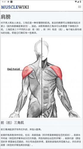 musclewiki官方版图片10