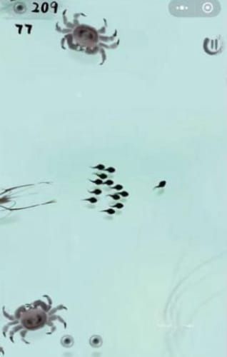 墨虾探蝌召唤神龙