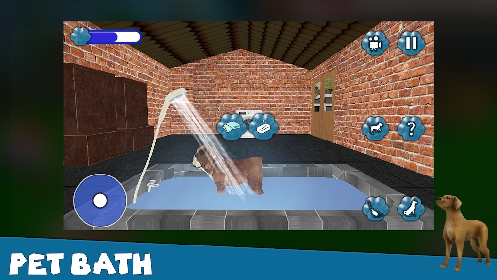 狗狗救援收容所游戏中文版