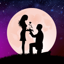 乖玫瑰聊天交友软件