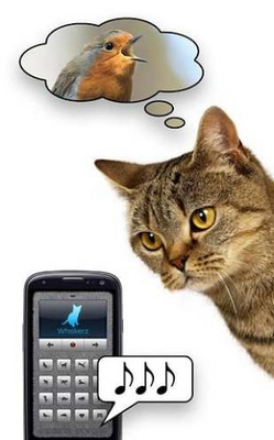 人猫交流器免费版app1