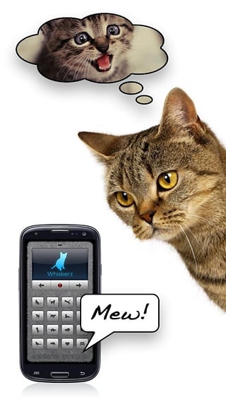 人猫交流器免费版app3