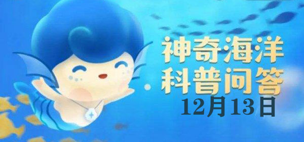 猜一猜：谁是珊瑚生珊瑚虫共生的小伙伴