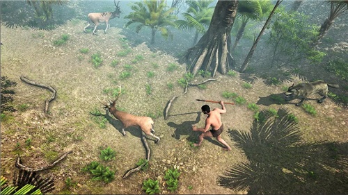 荒岛海滩幸存者手机版