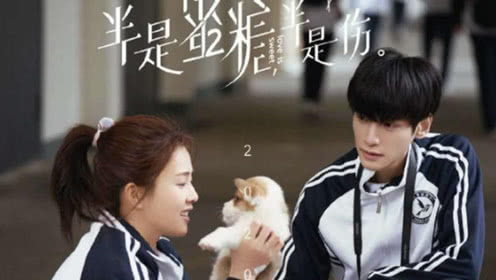 免费阅读半是蜜糖半是伤小说的软件有哪些