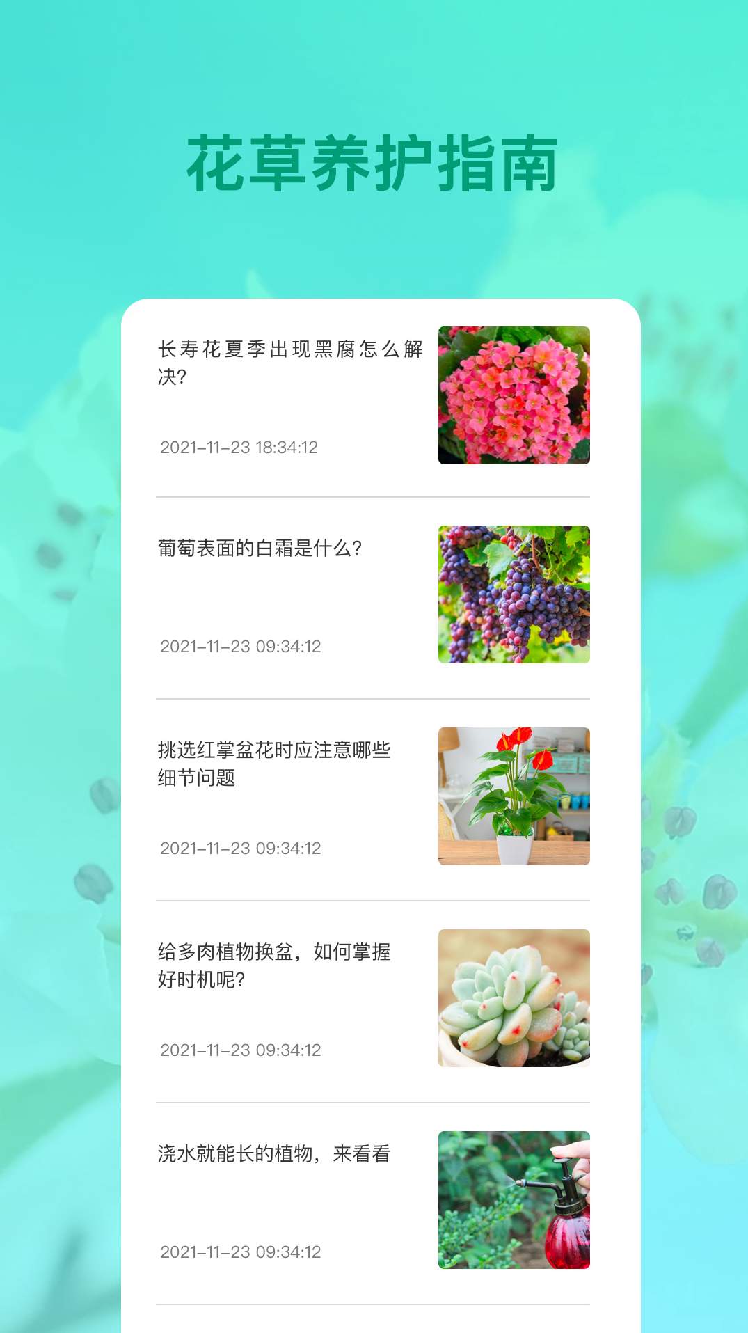识花最新版1