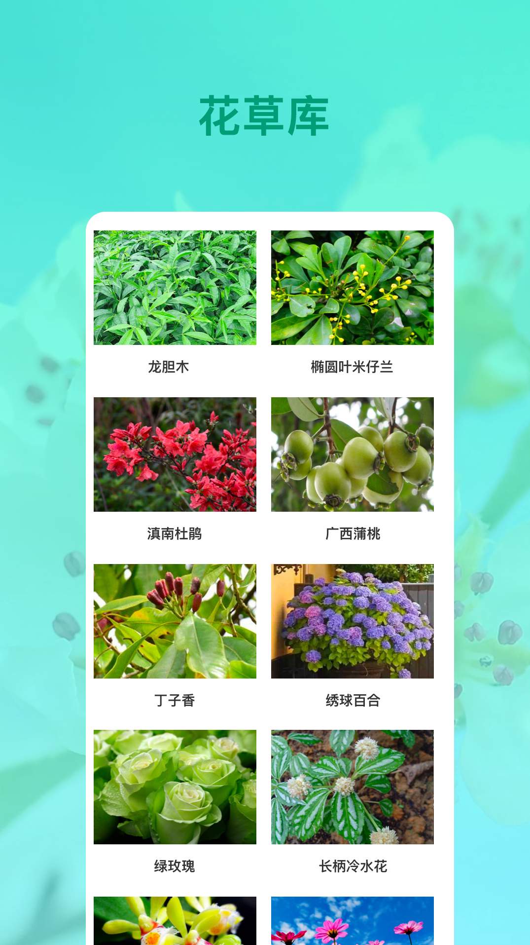 识花最新版3