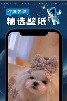 全局透明