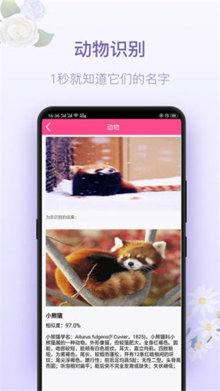 拍照识花神器截图2: