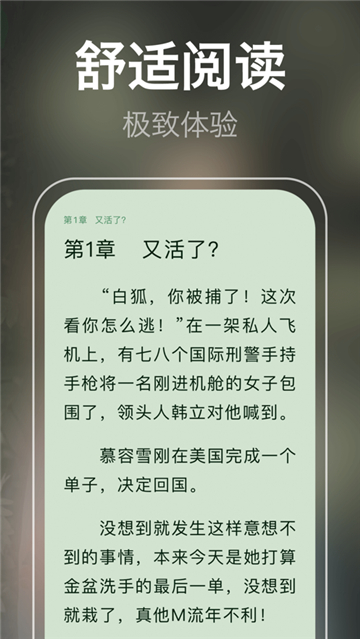 小说视频截图1: