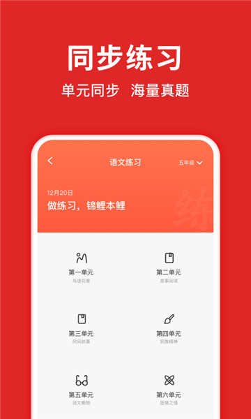 题拍拍app截图1: