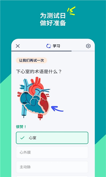 quizlet截图3: