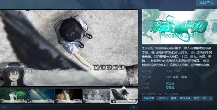 藏物上线Steam页面2026年第一季度发售