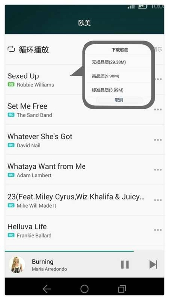 华为音乐播放器截图4: