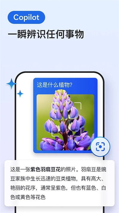 Edge浏览器最新版截图4: