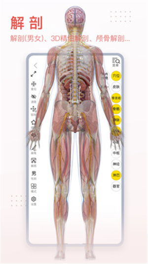 3dbody解剖截图3: