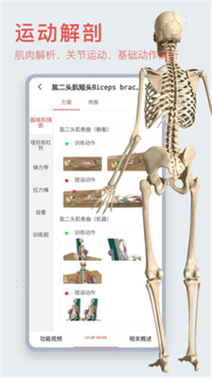 3dbody解剖截图4: