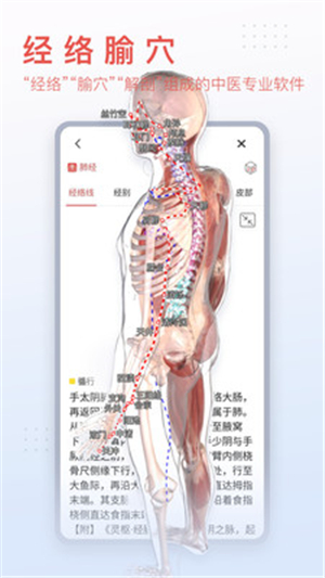 3dbody解剖截图5: