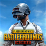 絕地求生pubgmobile國(guó)際服