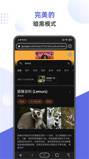 狐猴浏览器最新版截图4: