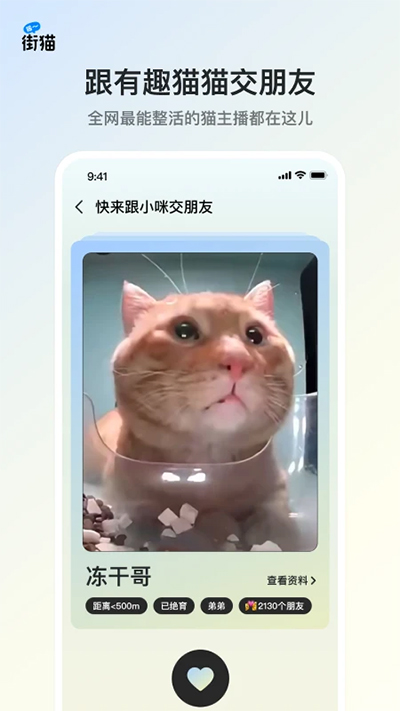 哈啰街猫截图1: