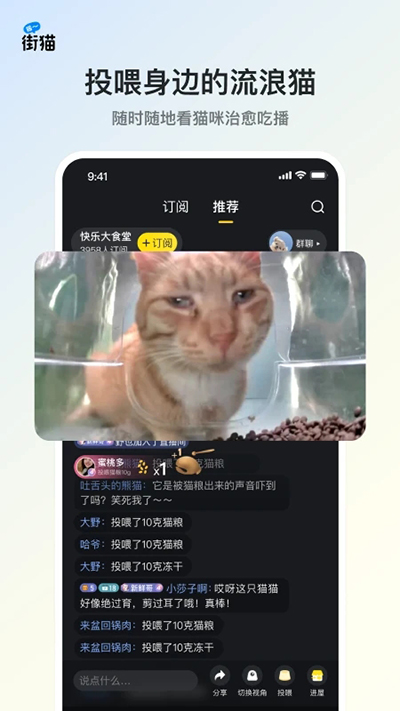 哈啰街猫截图2: