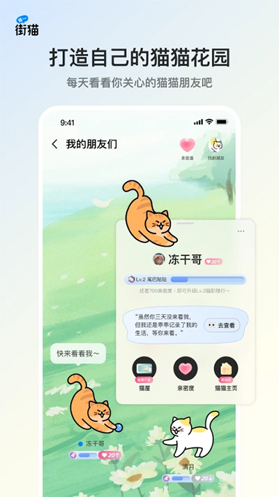 哈啰街猫截图5: