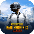 PUBG(国际服)官方正版下载安装1.9