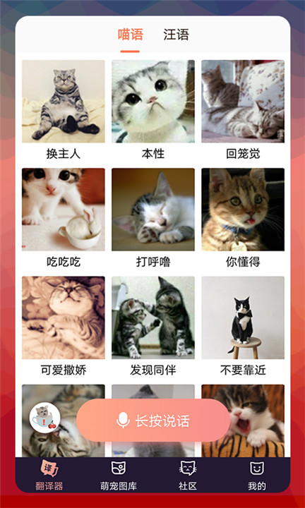 猫语翻译器截图2: