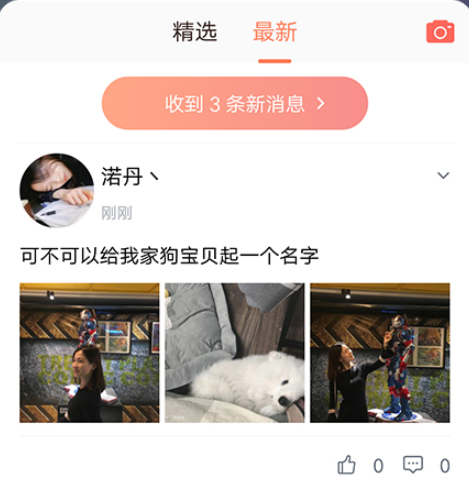 猫语翻译器中文版