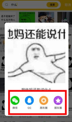 斗图神器  第3张