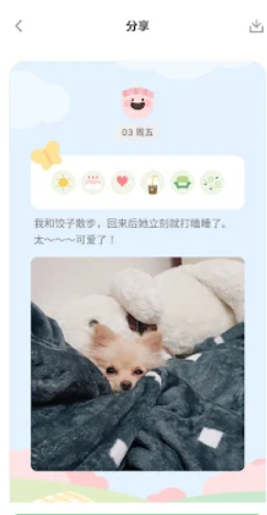 天天豆  第1张