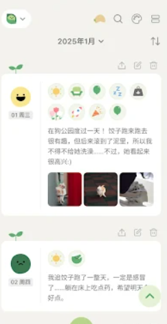 天天豆  第3张