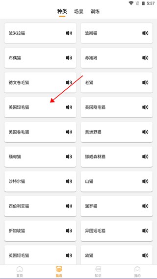 猫咪翻译器app