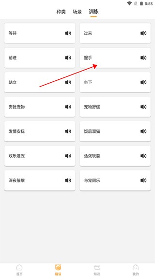 猫咪翻译器app