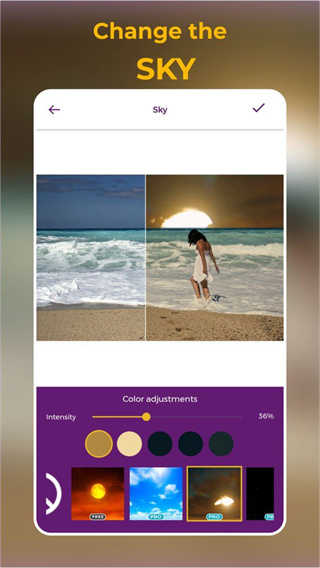 zoetropic专业版3
