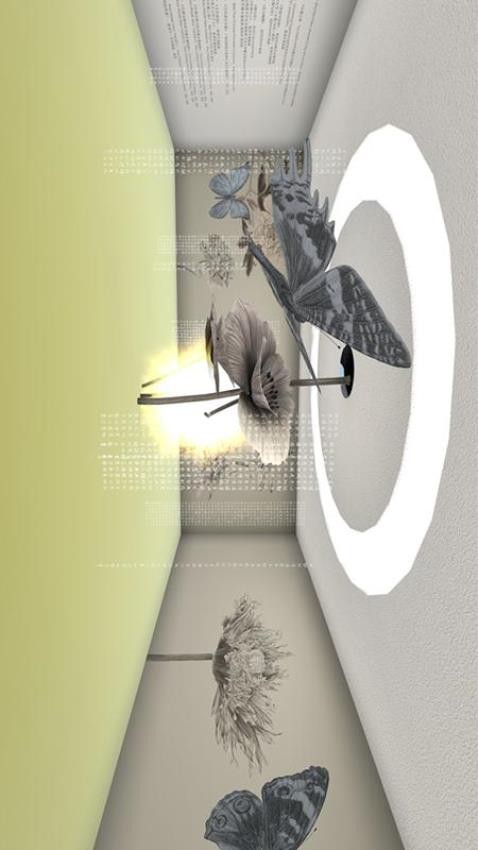 meta彼岸app