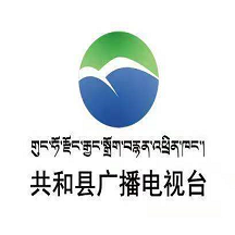 大美共和app