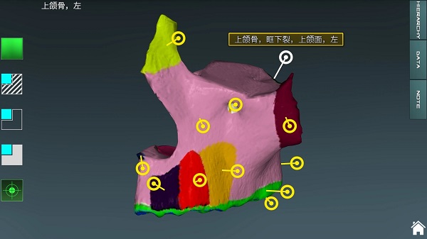 人体解剖学图集app