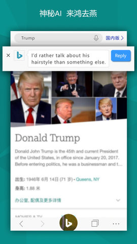 bing