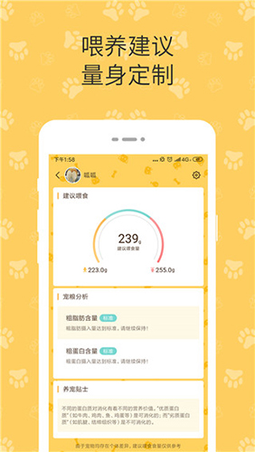 陪彼宠物app