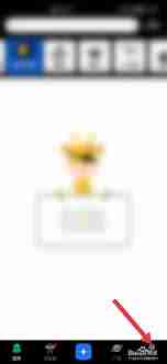 鲱鱼罐头app如何去除水印