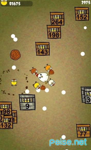 鸡你太美测试服