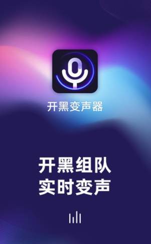 游戏开黑变声器v1.0.0