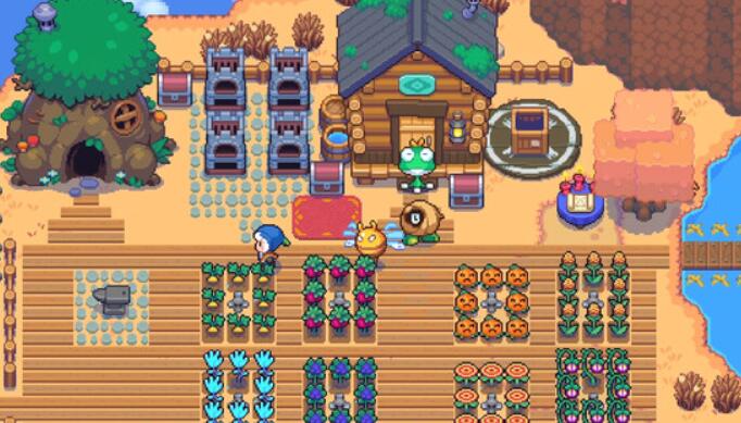 东北菜代言人酸菜白肉